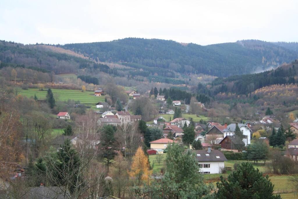 Le Chalet Du Bonheur , Individuel Avec Belle Vue Laveline Kültér fotó